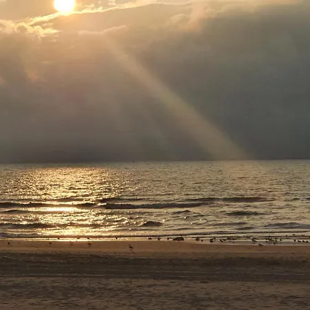 Scheveningen Sea Side * Lahey